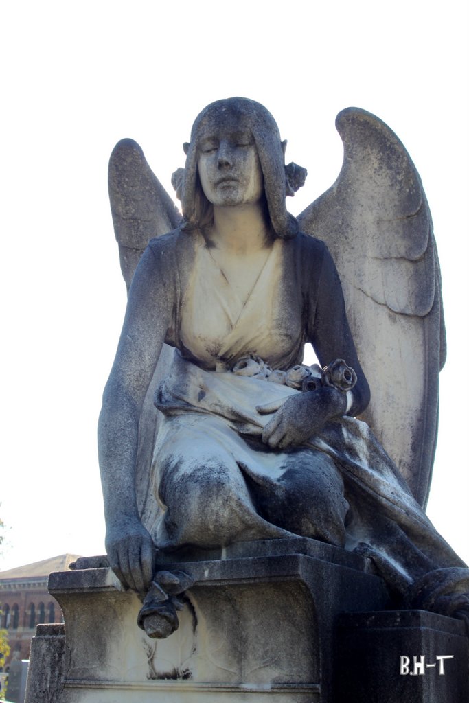 Engel in Pose – Graz