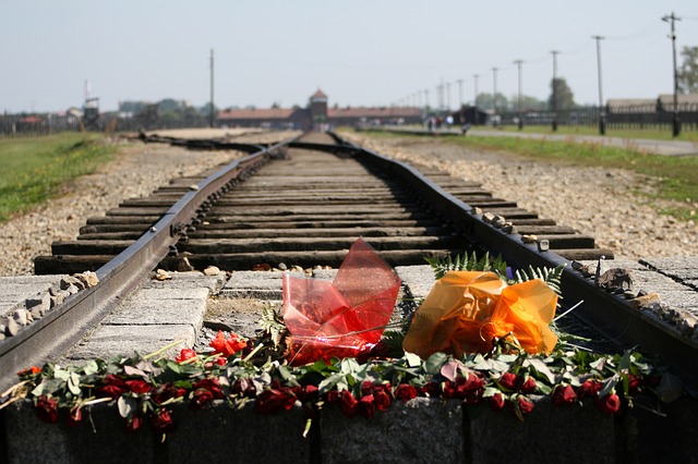Schienen nach Auschwitz
